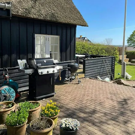 Holiday home Thatched Wooden House With Sea View Haderslev